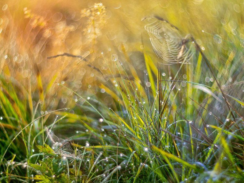 **** фото превью