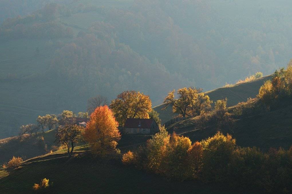 , Stefan Chirobocea