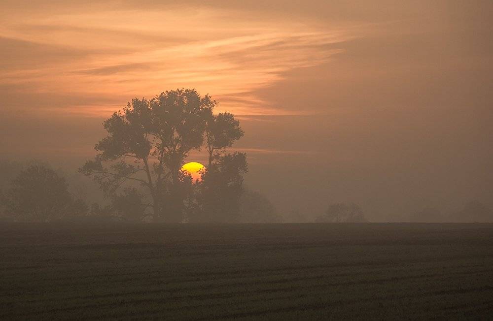 , Pawel Plucinski