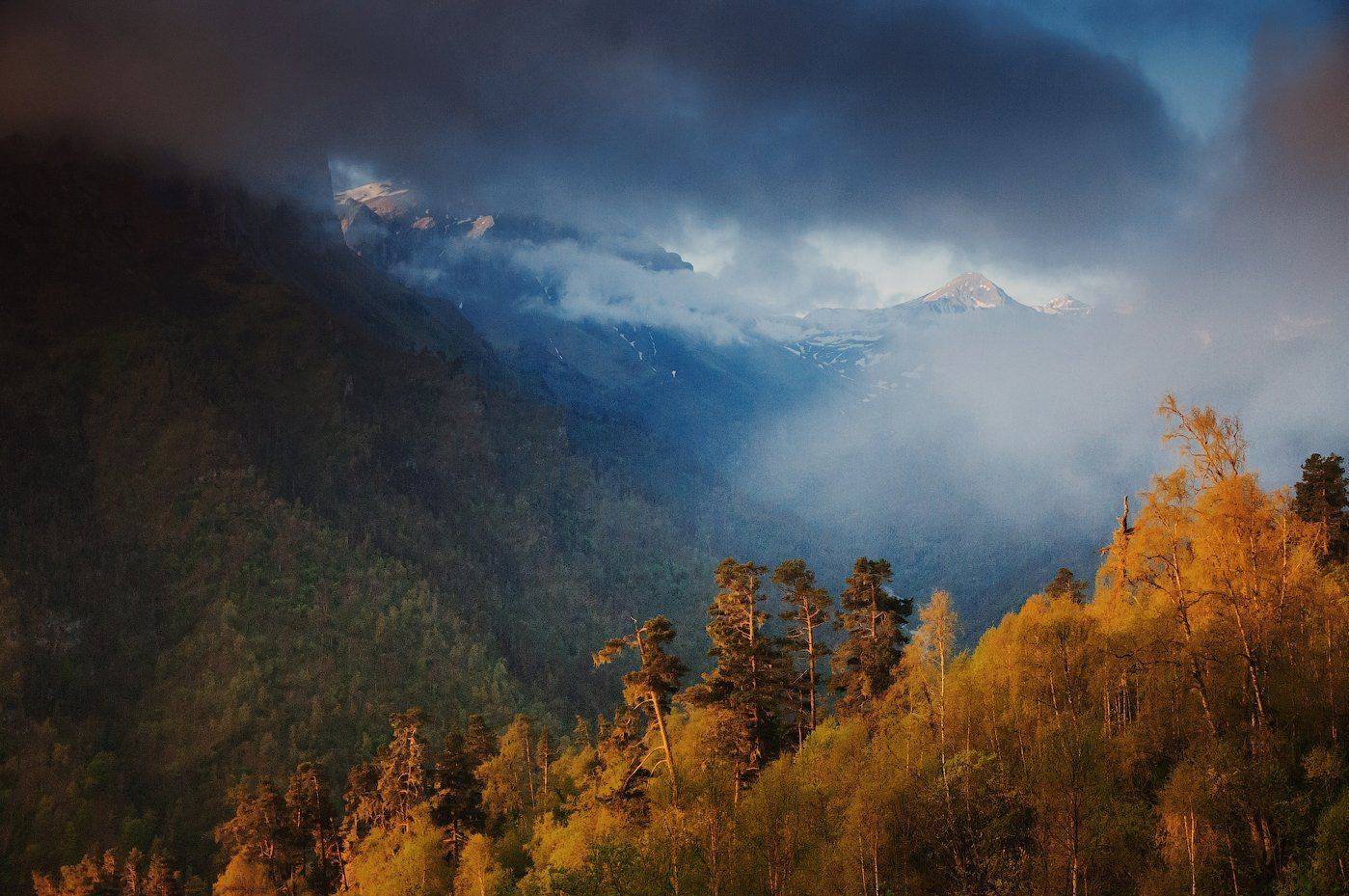 дженту, Евгений Карпенко