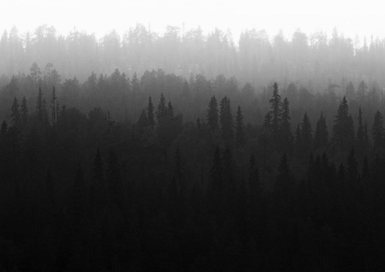 , Роман Рыжков