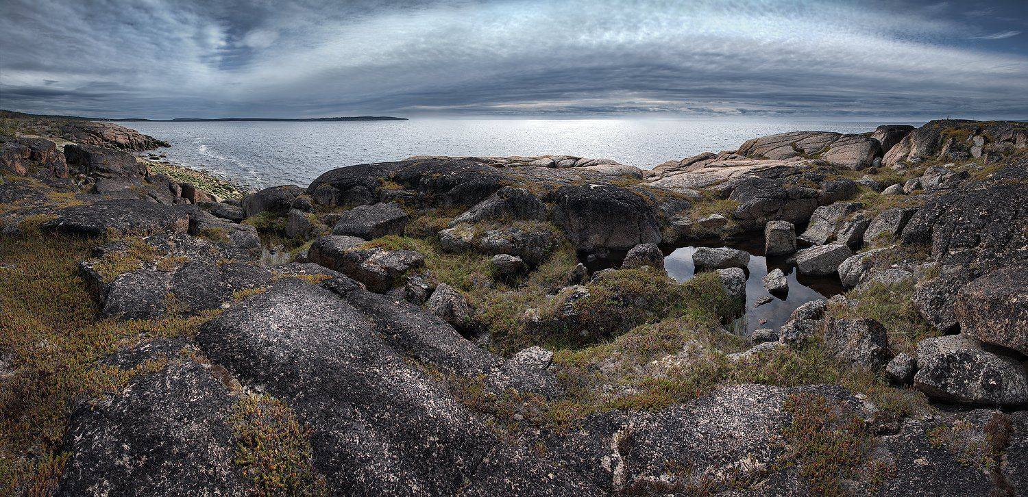 , Марина Никифорова