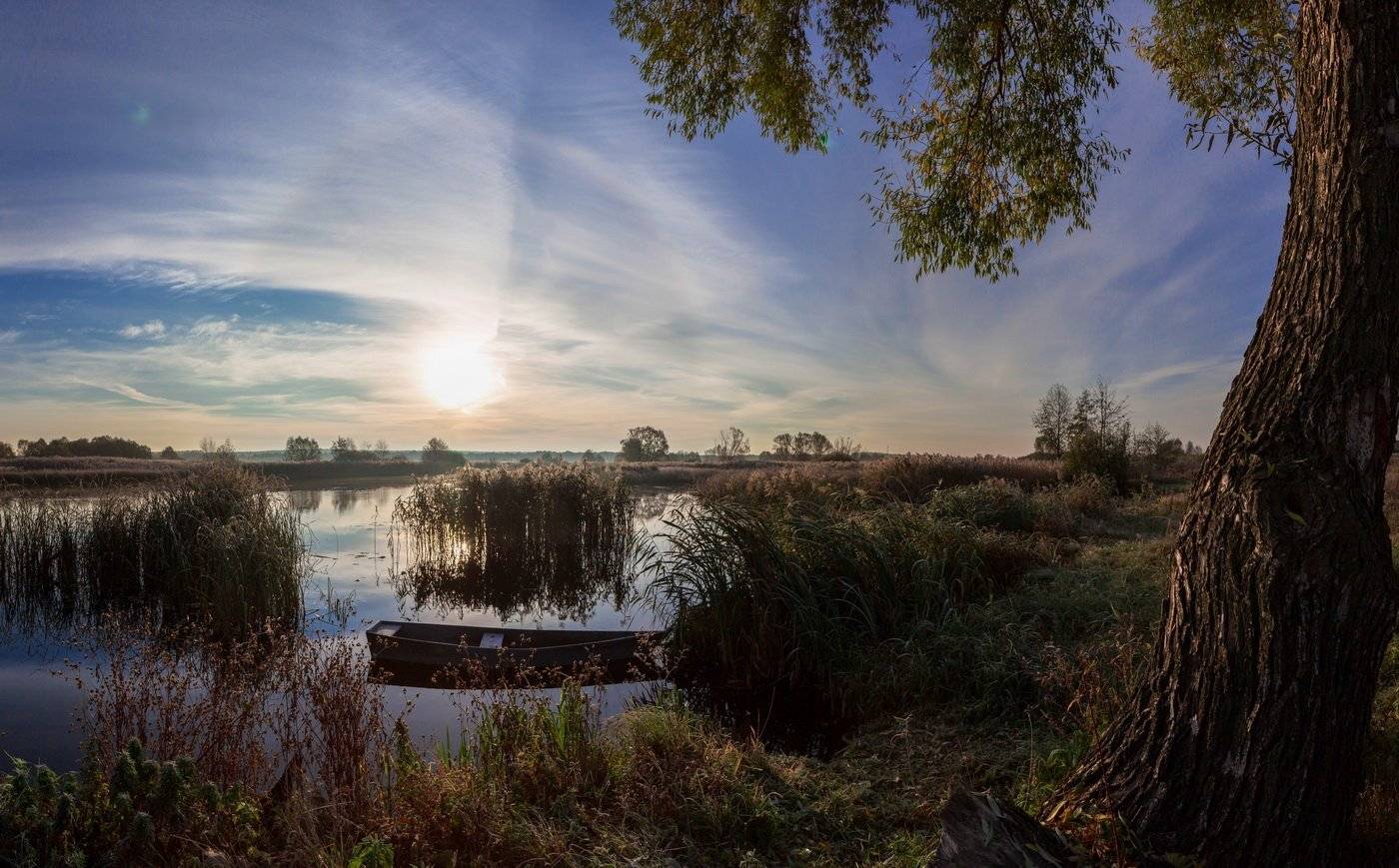 , Александр Бредихин