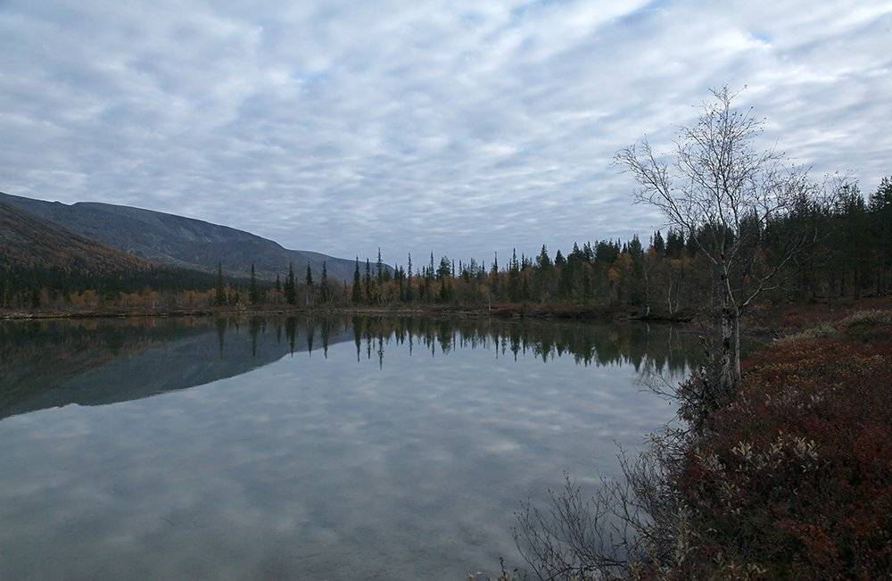 , Иваненко Светлана