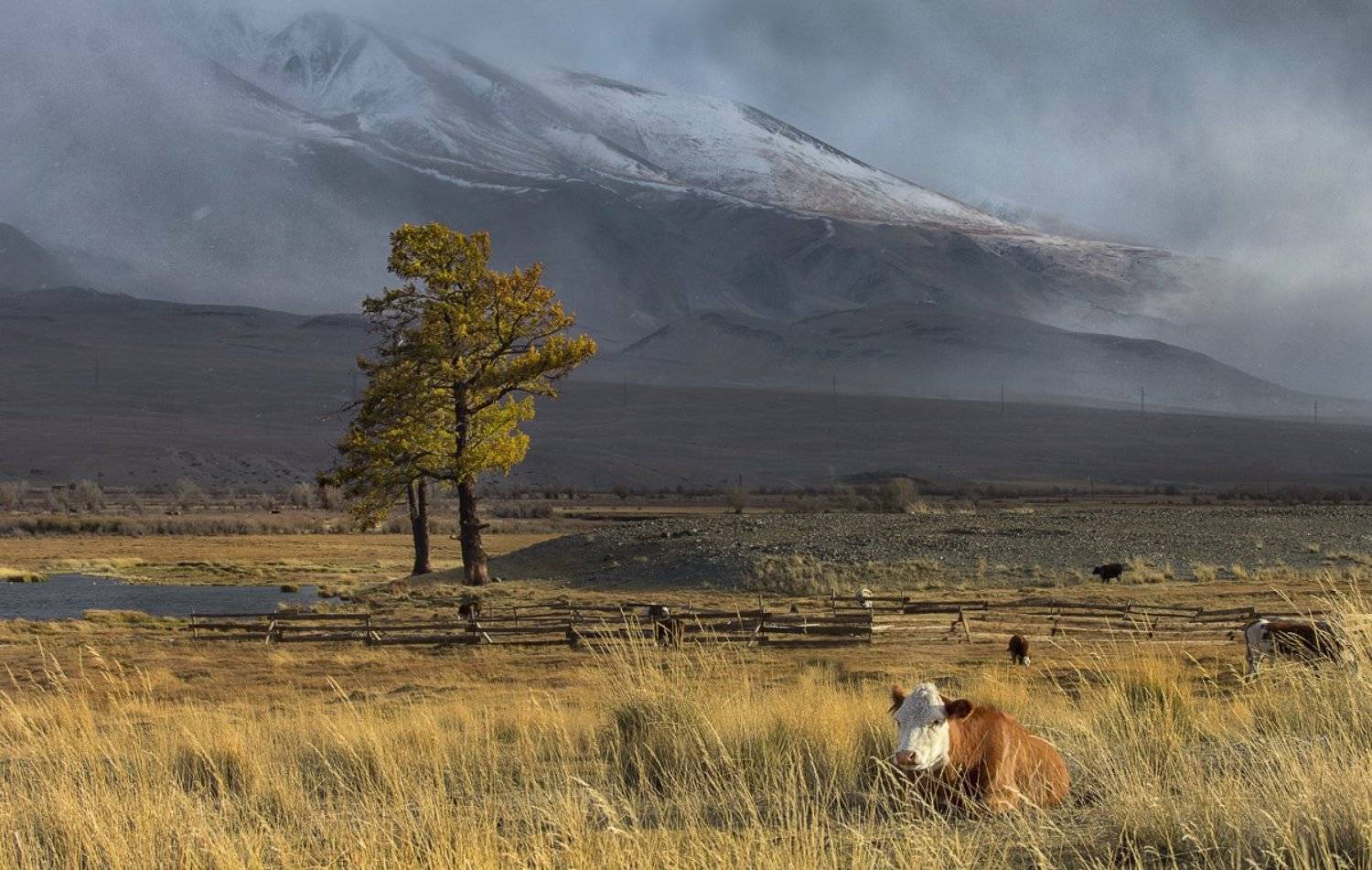 Алтай, горы, осень, непогода, Скиндерева Ольга