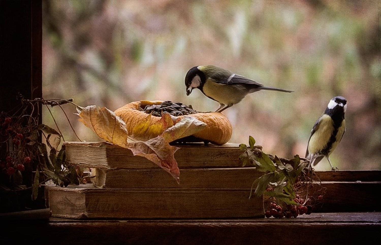 , Наталья Кузнецова (Nateletro)