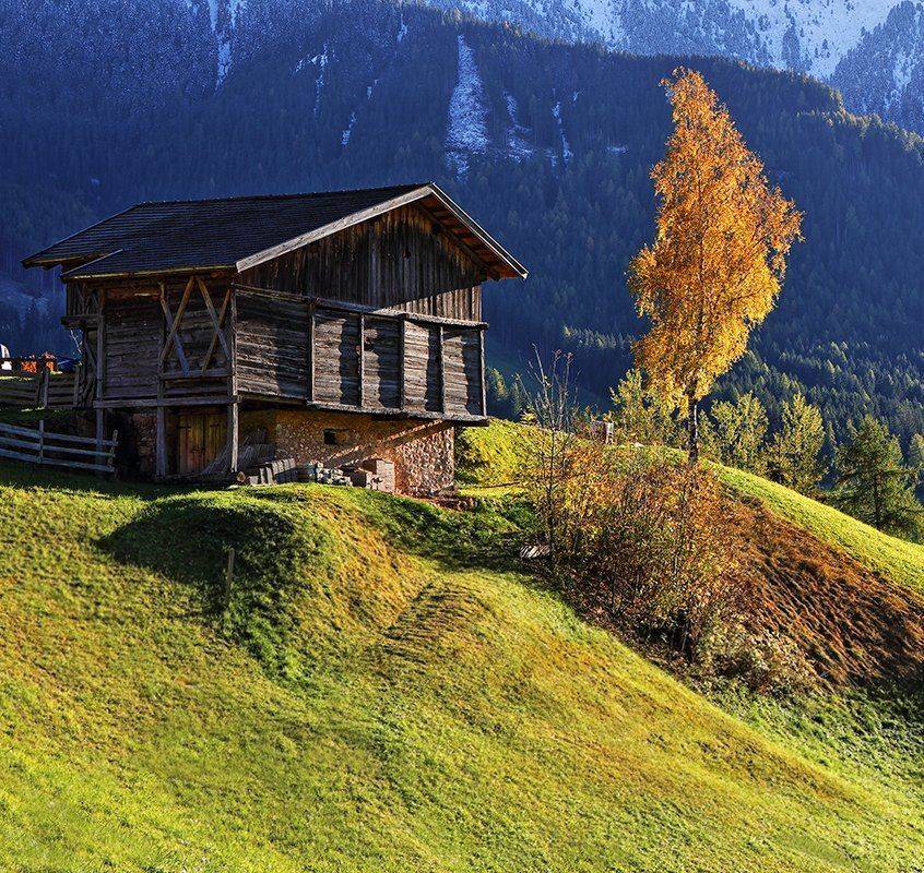 , Игорь Дубровский