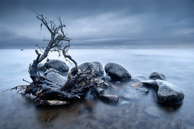 Сестрорецк, Финский залив Финский залив. фото превью