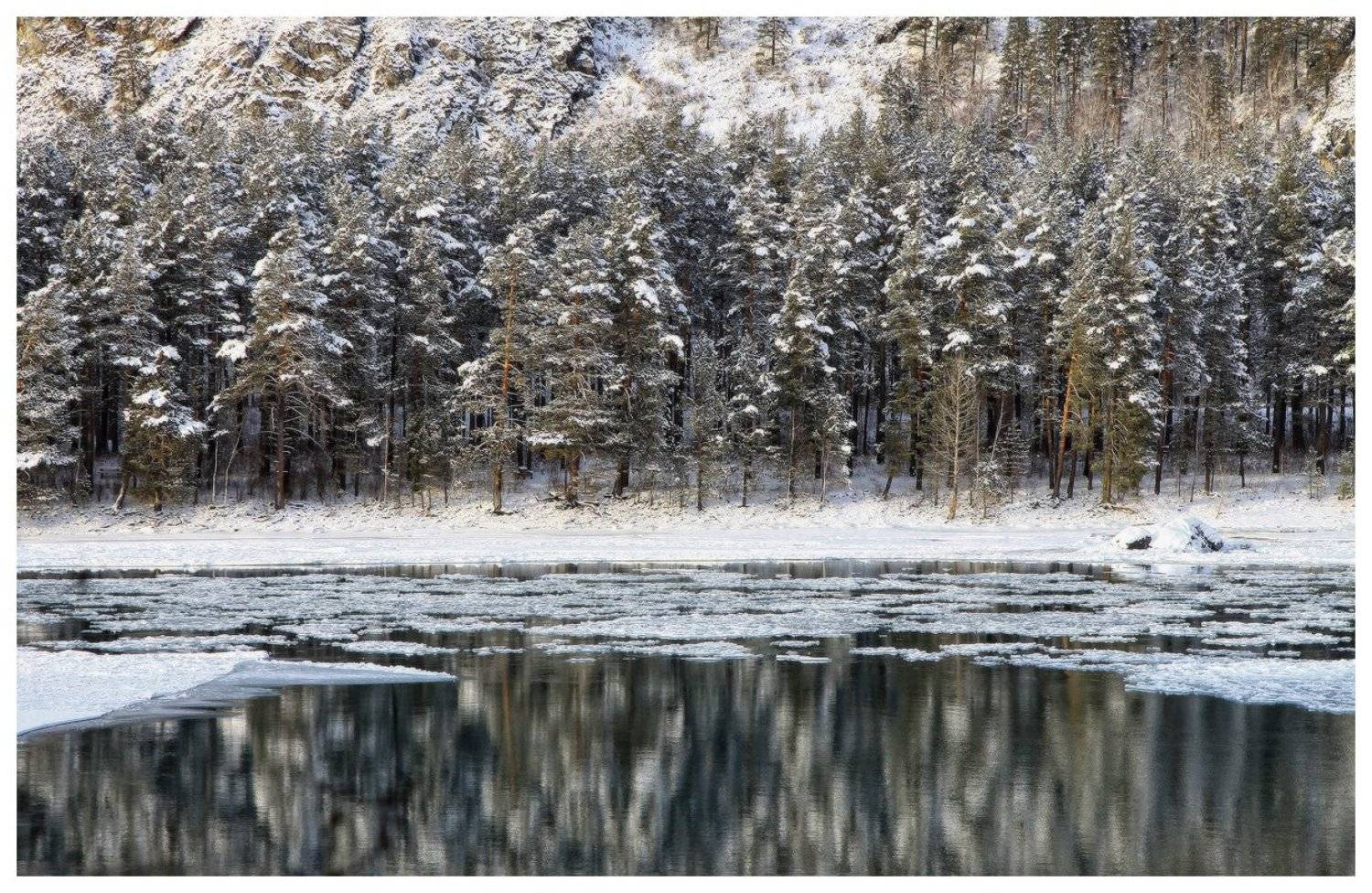 алтай, катунь, снег, зима, Галина Хвостенко