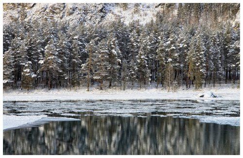 Слегка припудрило