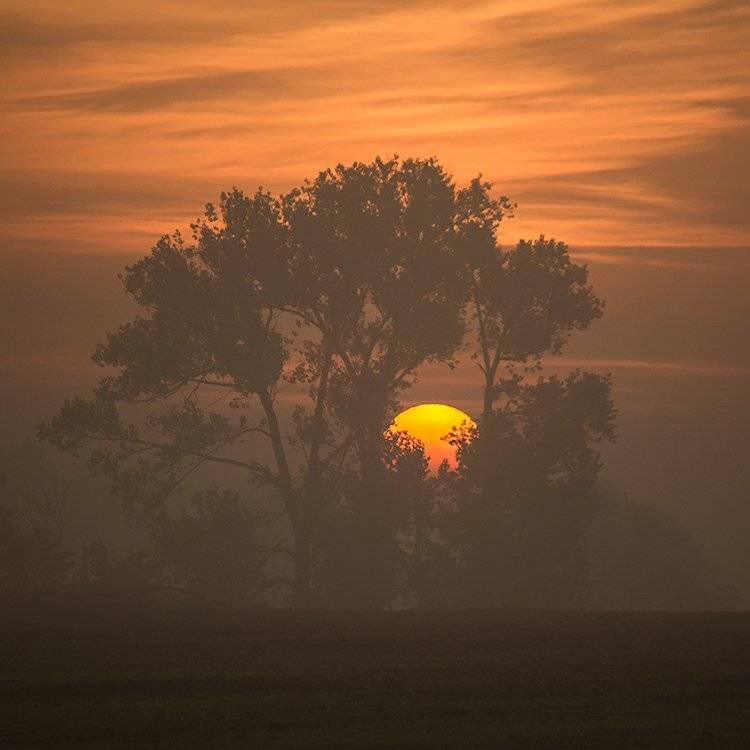 , Pawel Plucinski