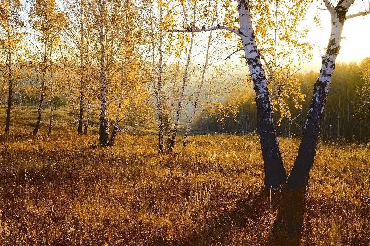 , Николай Морский