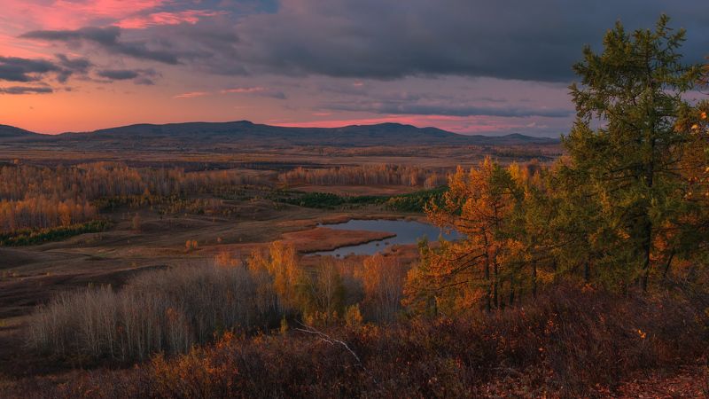 Заворожила осень золотая