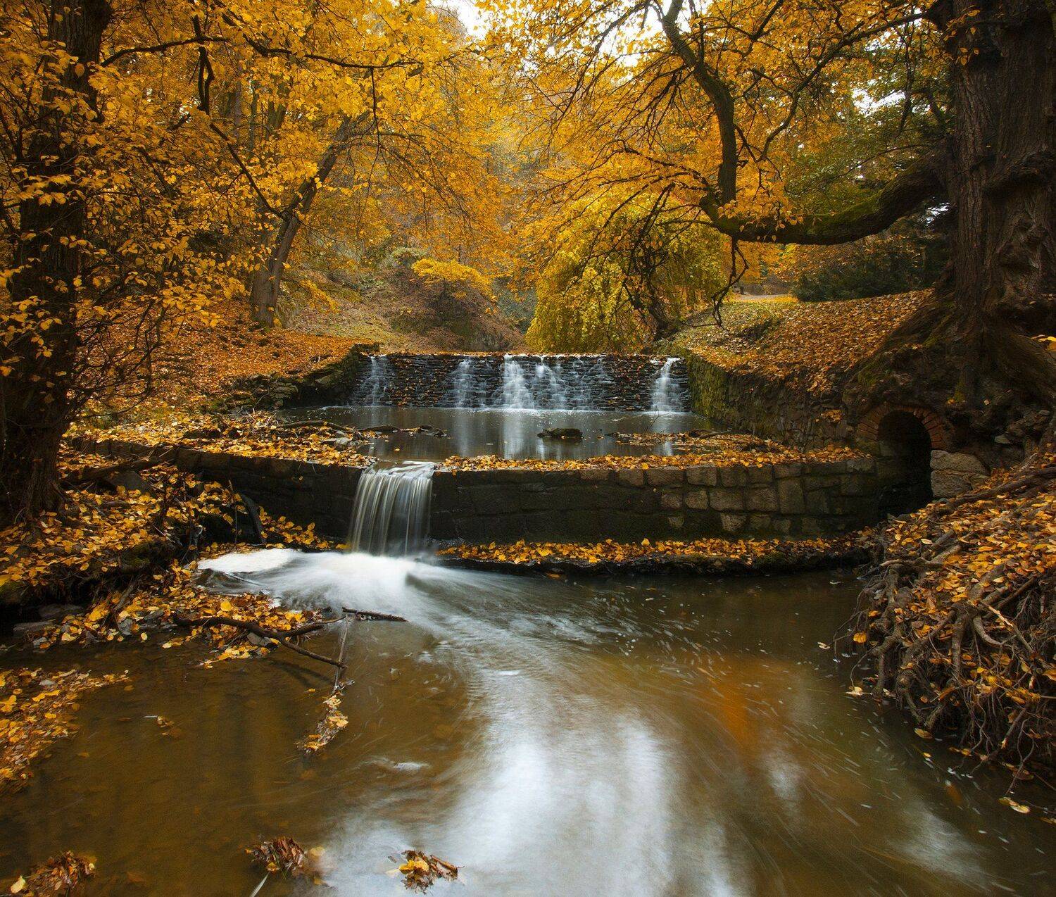 , Александр Беляев
