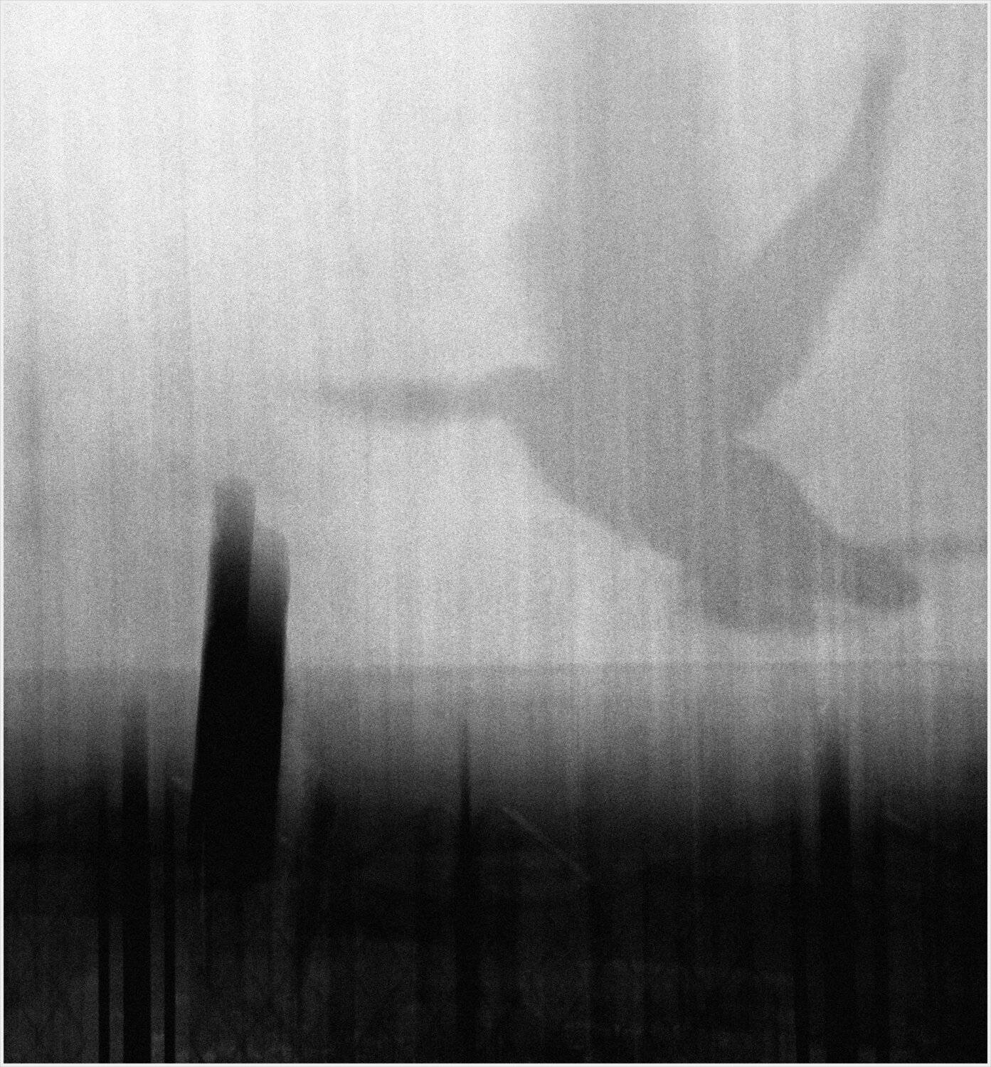 , Krzysztof Trojanowski