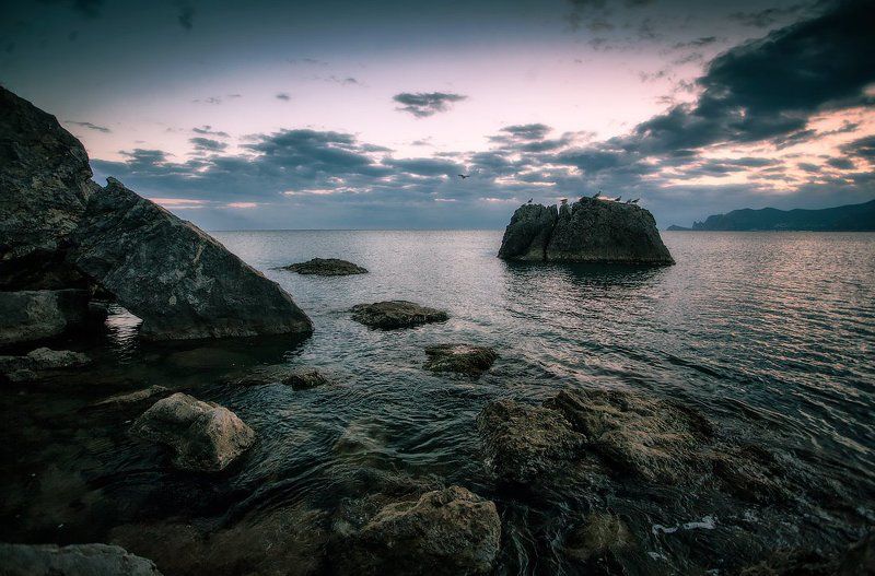 море, камни, чайки, закат Остров фото превью