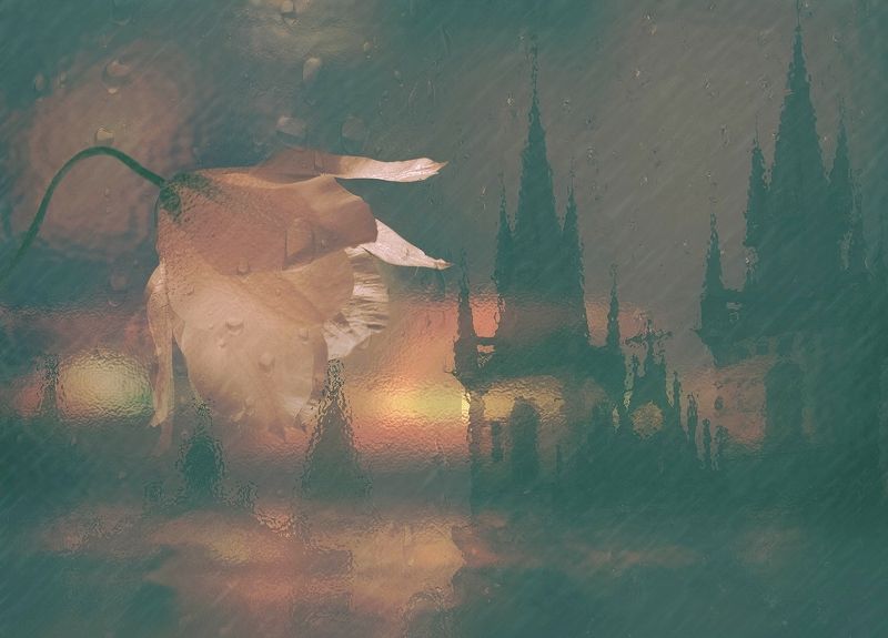 Nostalgia фото превью