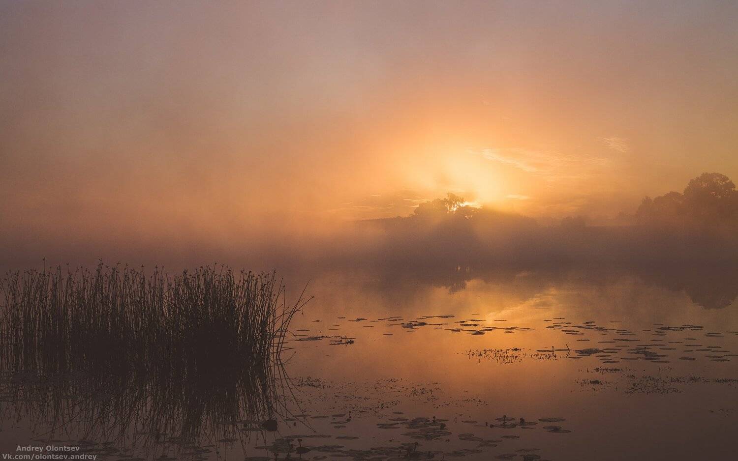 Дубна, Пейзажи, Рассвет, Ратмино, Туман, Андрей Олонцев