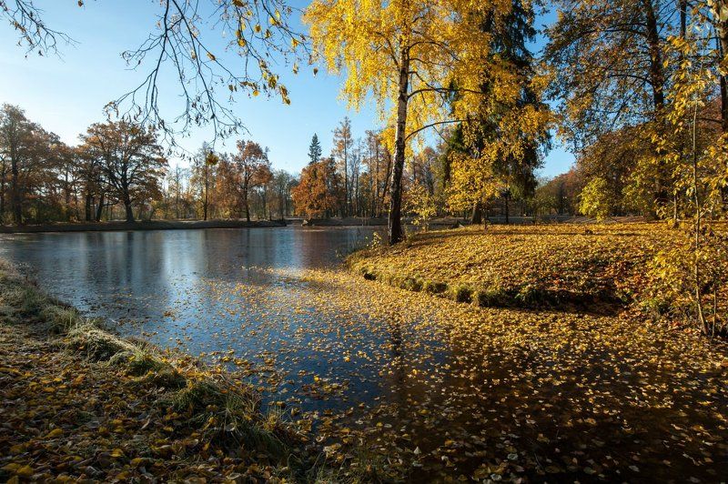 Пушкин Александровский парк октябрь *** фото превью