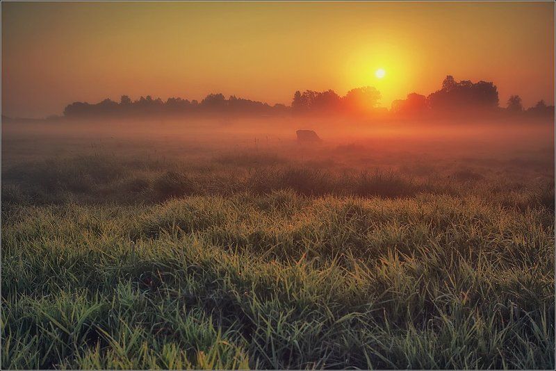 Pомантическoe утро фото превью