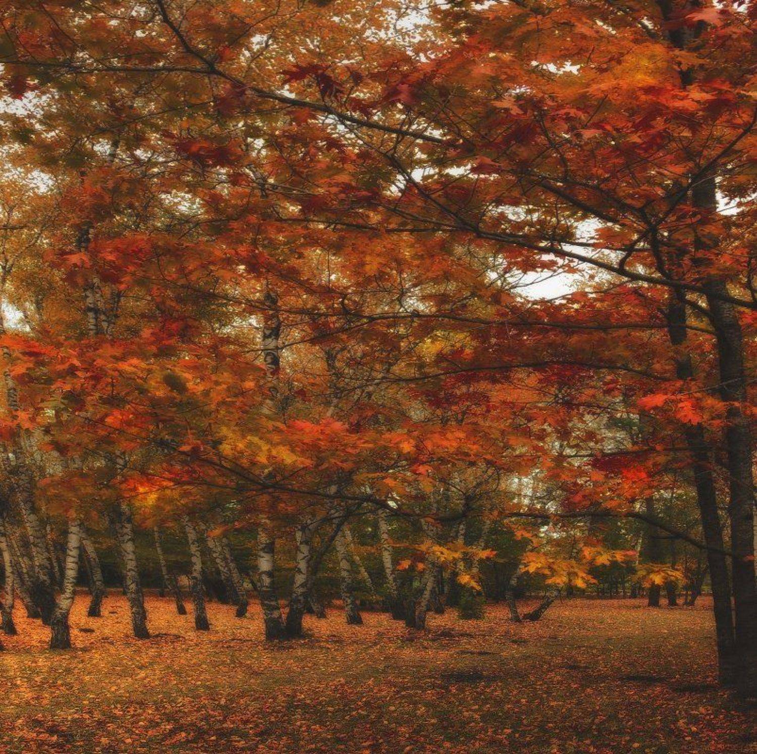 , Михаил  Пилипенко