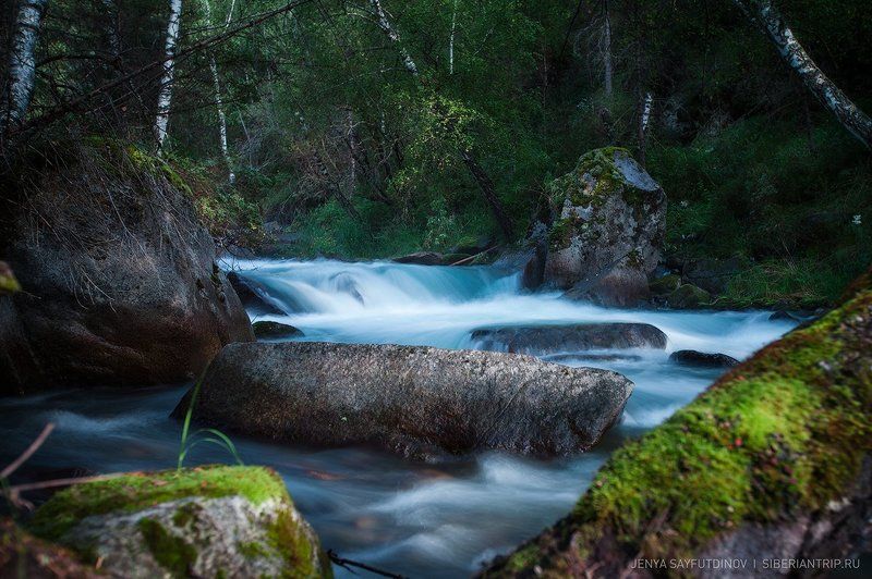 алтай, реки, река, лес, тайга, горная_река, вода, деревья, быстрый,  Altai, river, river, forest, taiga, mountain_river, water, trees, fast Другой Алтай фото превью
