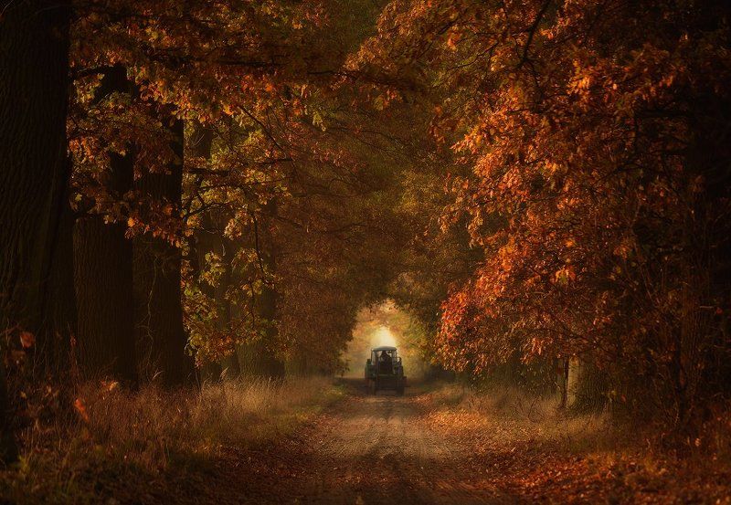 Autumn time... фото превью