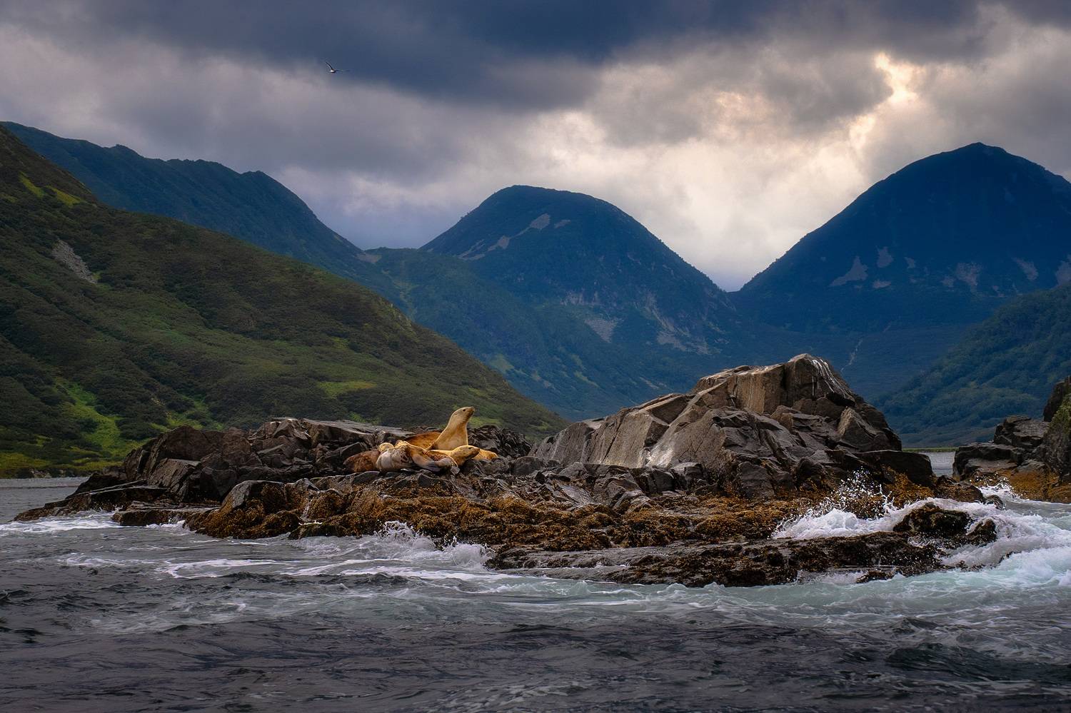 , Межин Сергей