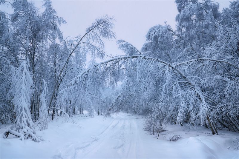 Снежными дорогами фото превью