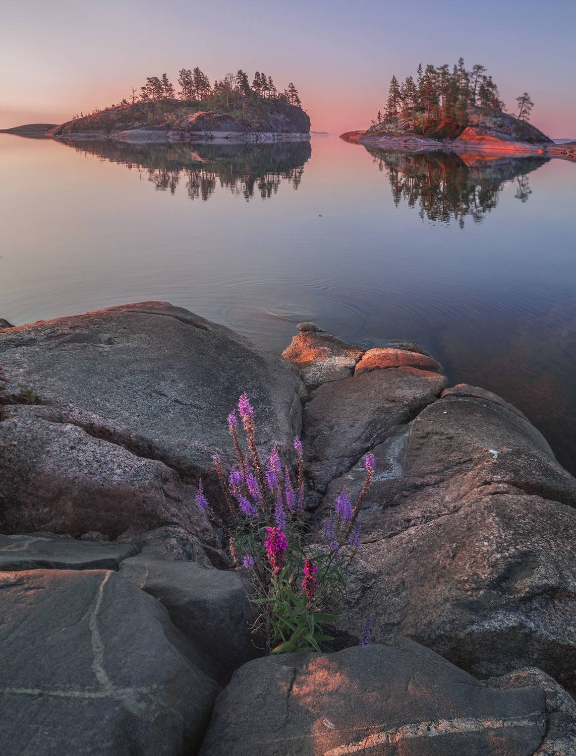 Фототуры с Владимиром Рябковым, #topnature #russpasibo #magic_shots #lovelyRussia #sunset_vision #exclusive_sky  #exclusive_shots #loves_russia2 #photoarena_nature #nature_sultans #nature_perfection #rsa_sky #rsa_sunset #photorussia #rsa_naturepics #sunse, Владимир Рябков