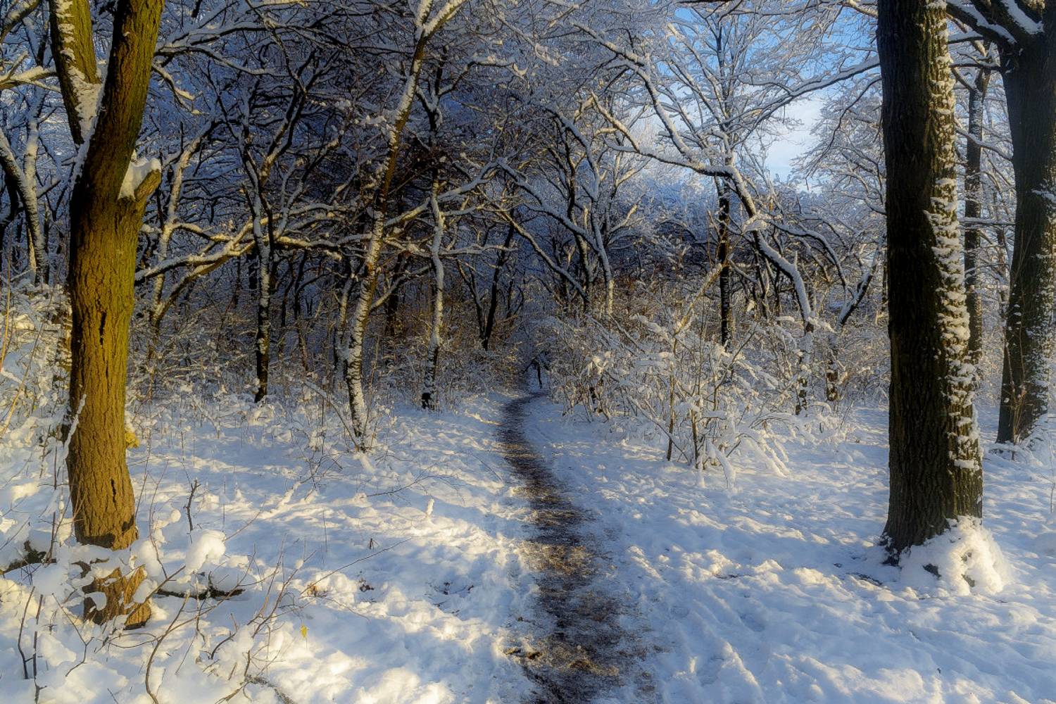 , Лысенко Сергей