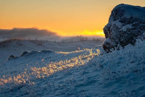 Утро в Тажеранской степи (2)