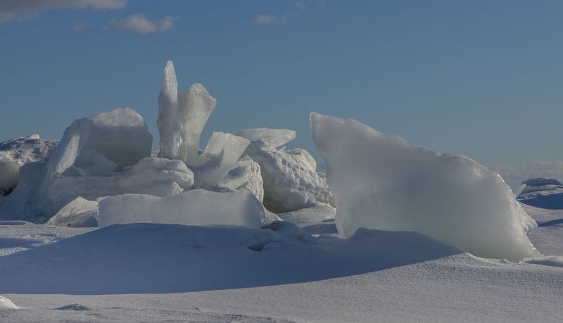 зима, снег, лед, торос, солнце, море Белый миша и ледяной цветок фото превью