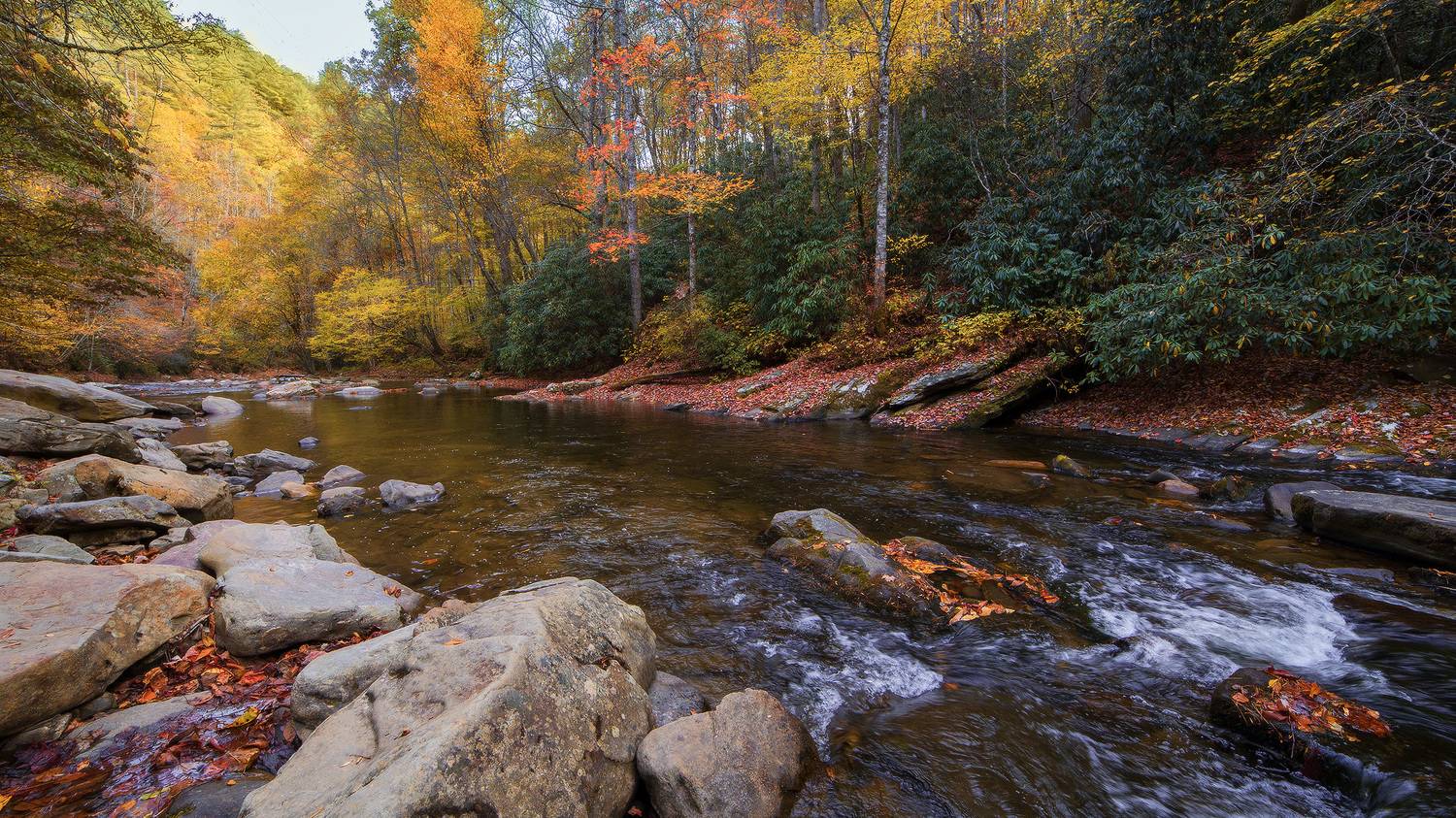 , Леонид Дьяченко