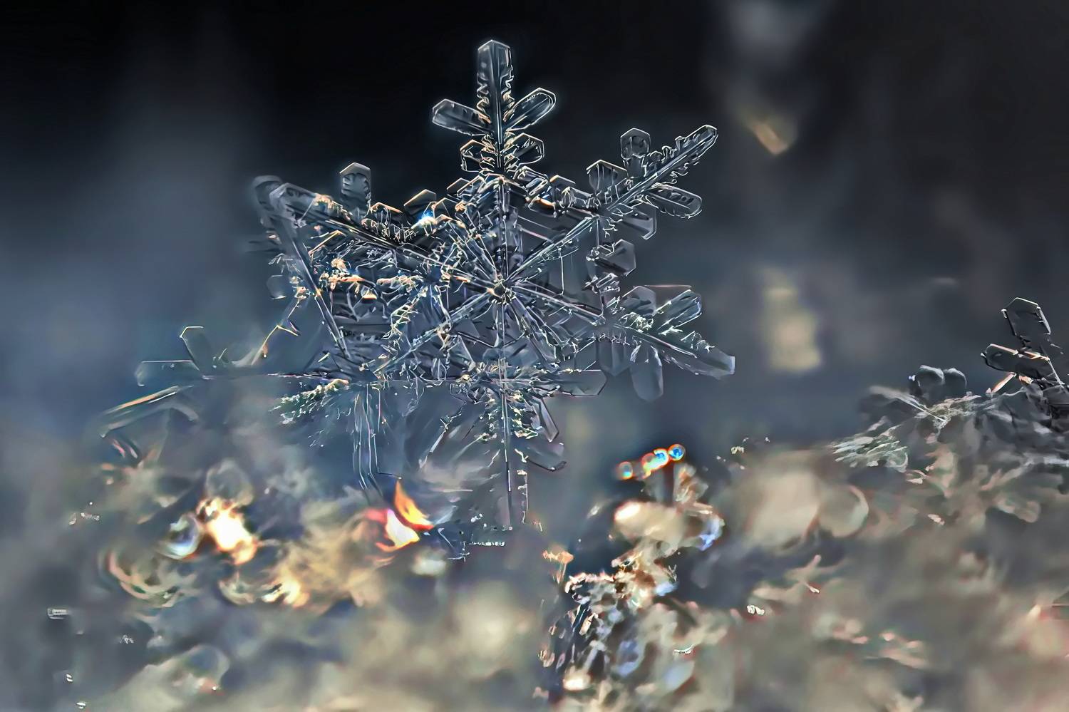 , Кузнецов Дмитрий