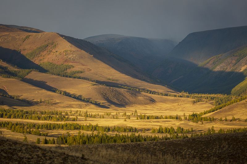 горный алтай, горы,, пейзаж, осень, свет, Осенний Алтай. фото превью