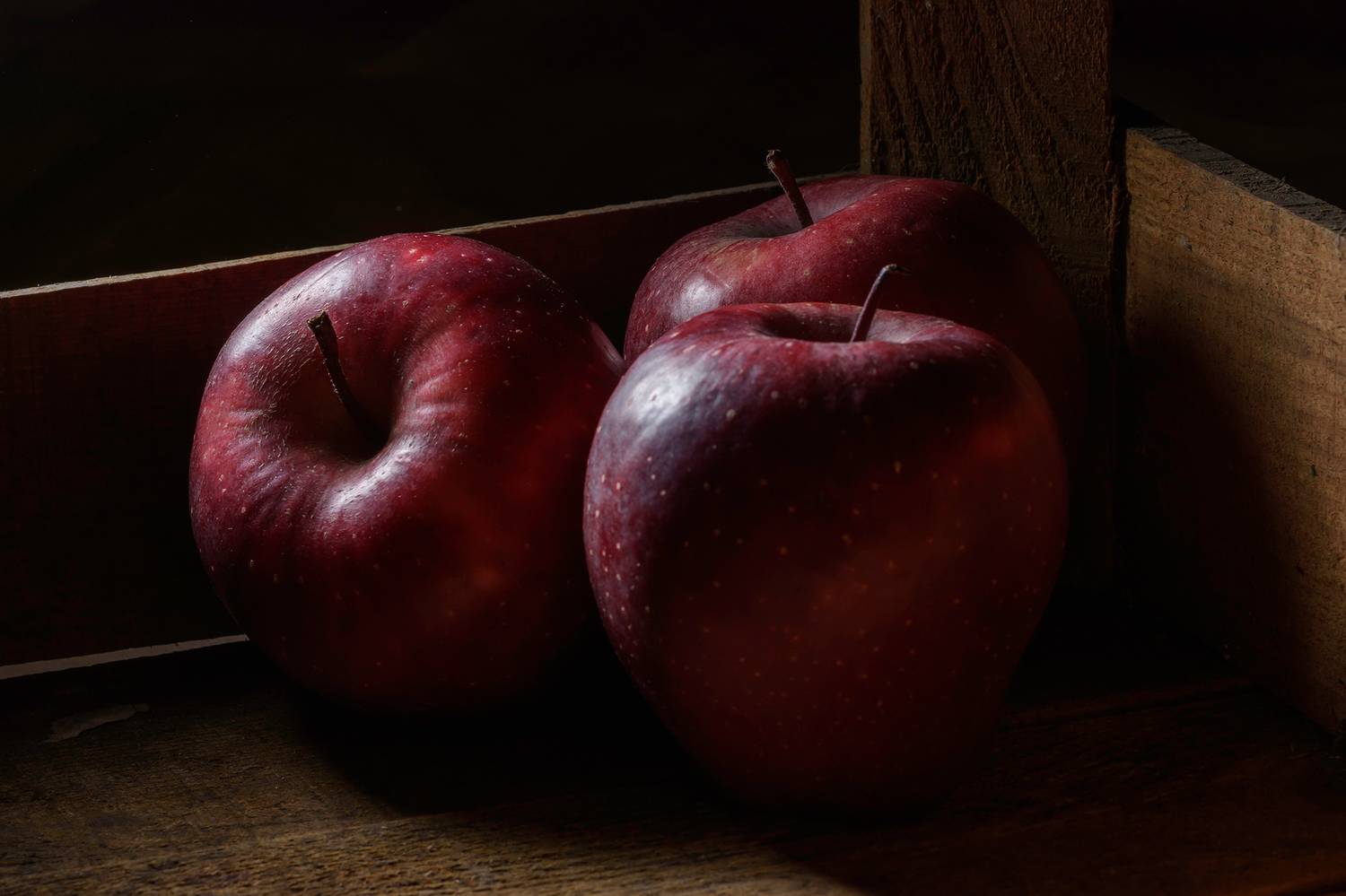 ,  Светослав Радков