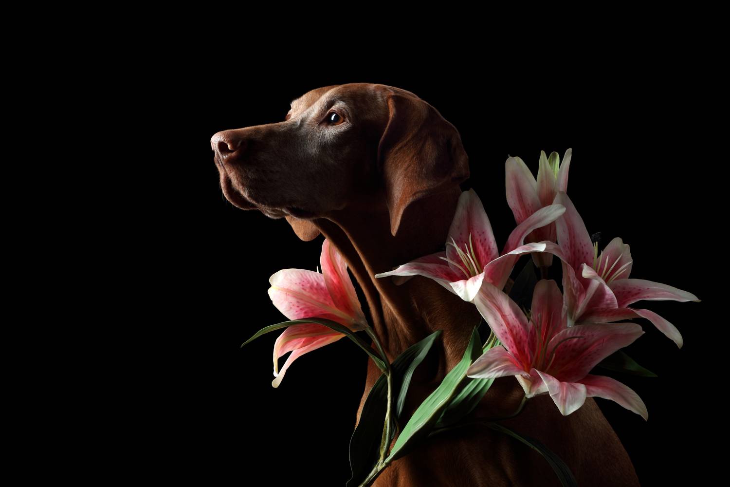 , Надежда Иванова