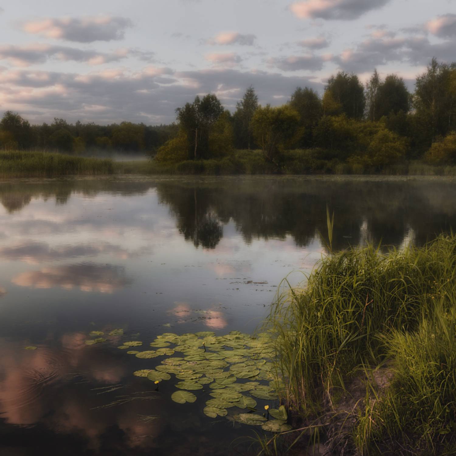 , Олег Дунаев