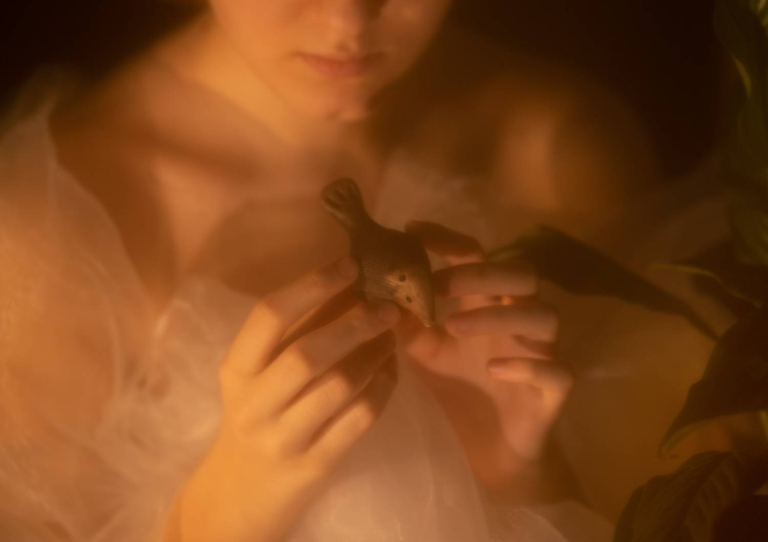 , Климшина Иванна