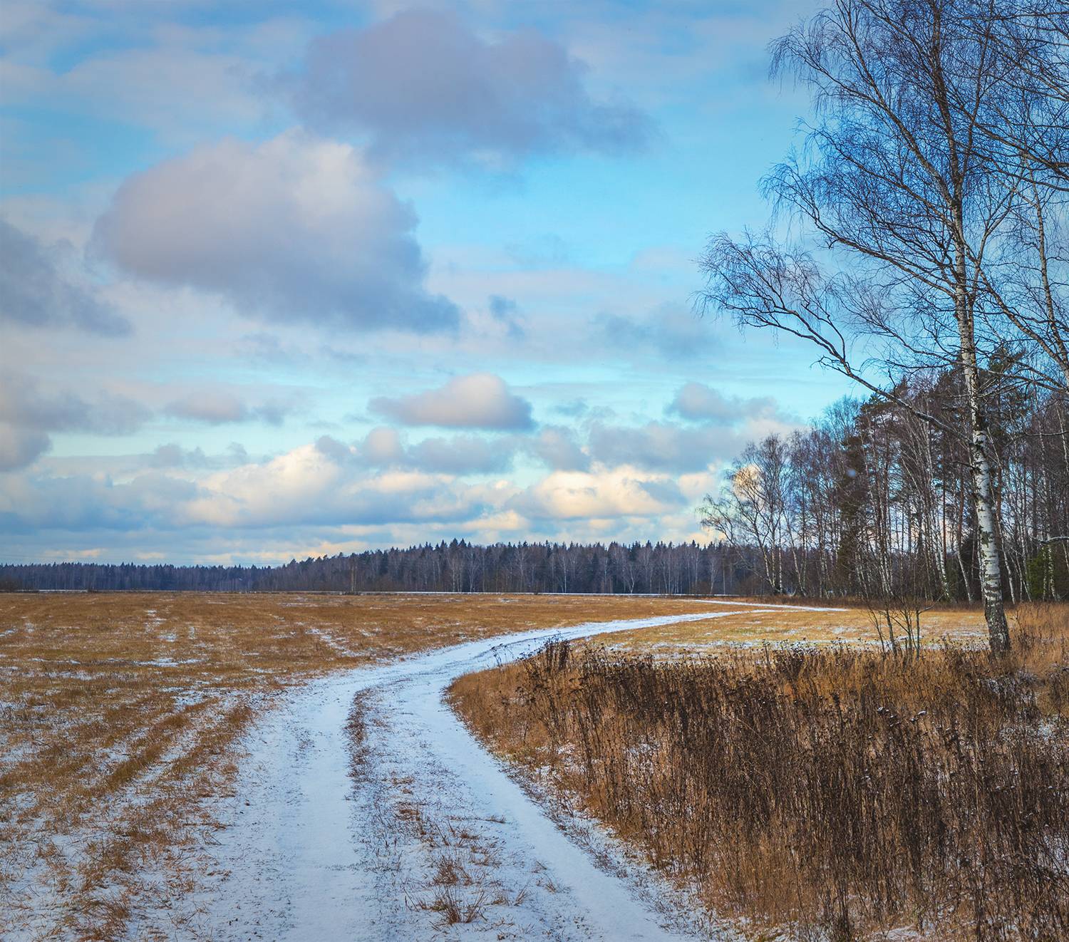 , Андреев Николай