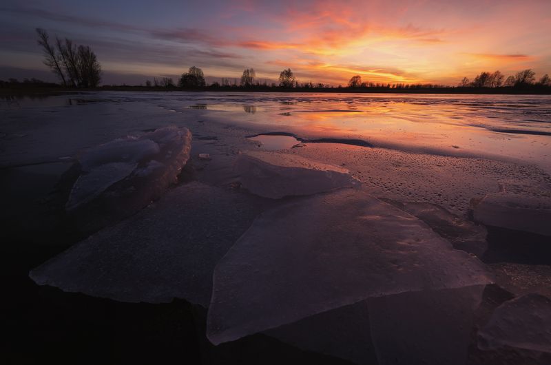 В закатном свете фото превью
