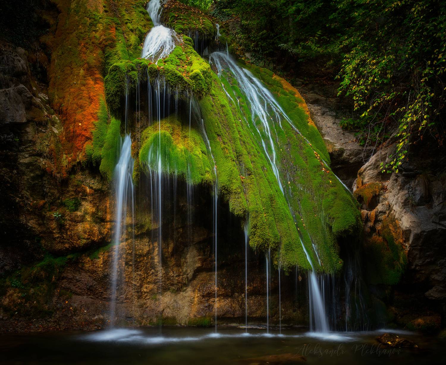 , Плеханов Александр