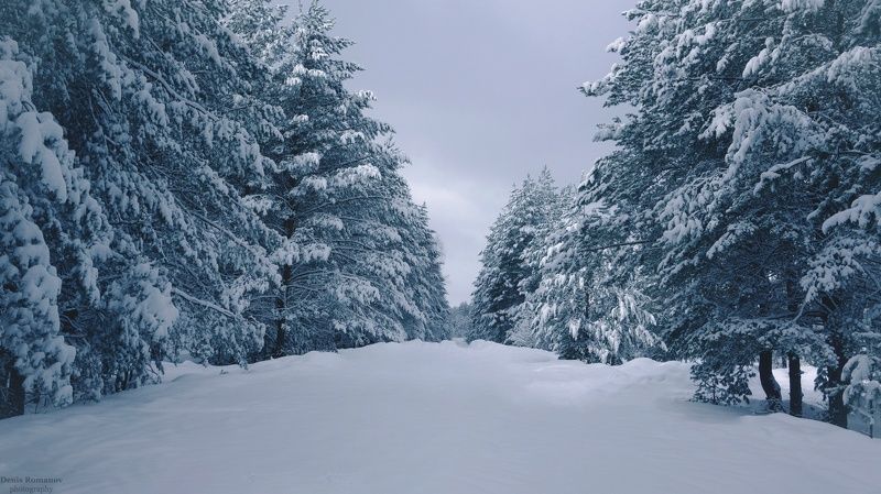 *** фото превью