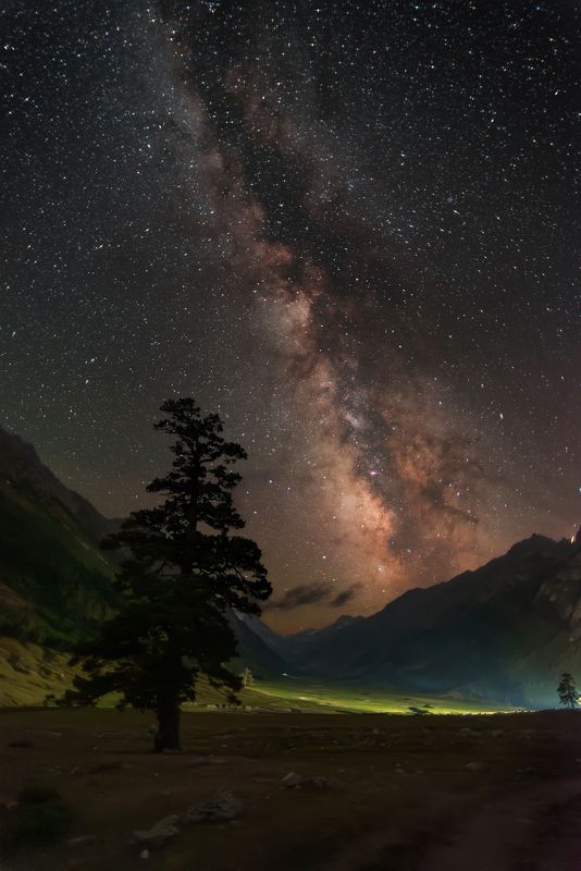 ночь, млечный путь, звездное небо, milky way, night, starry sky Одинокая сосна в Марухском ущелье фото превью