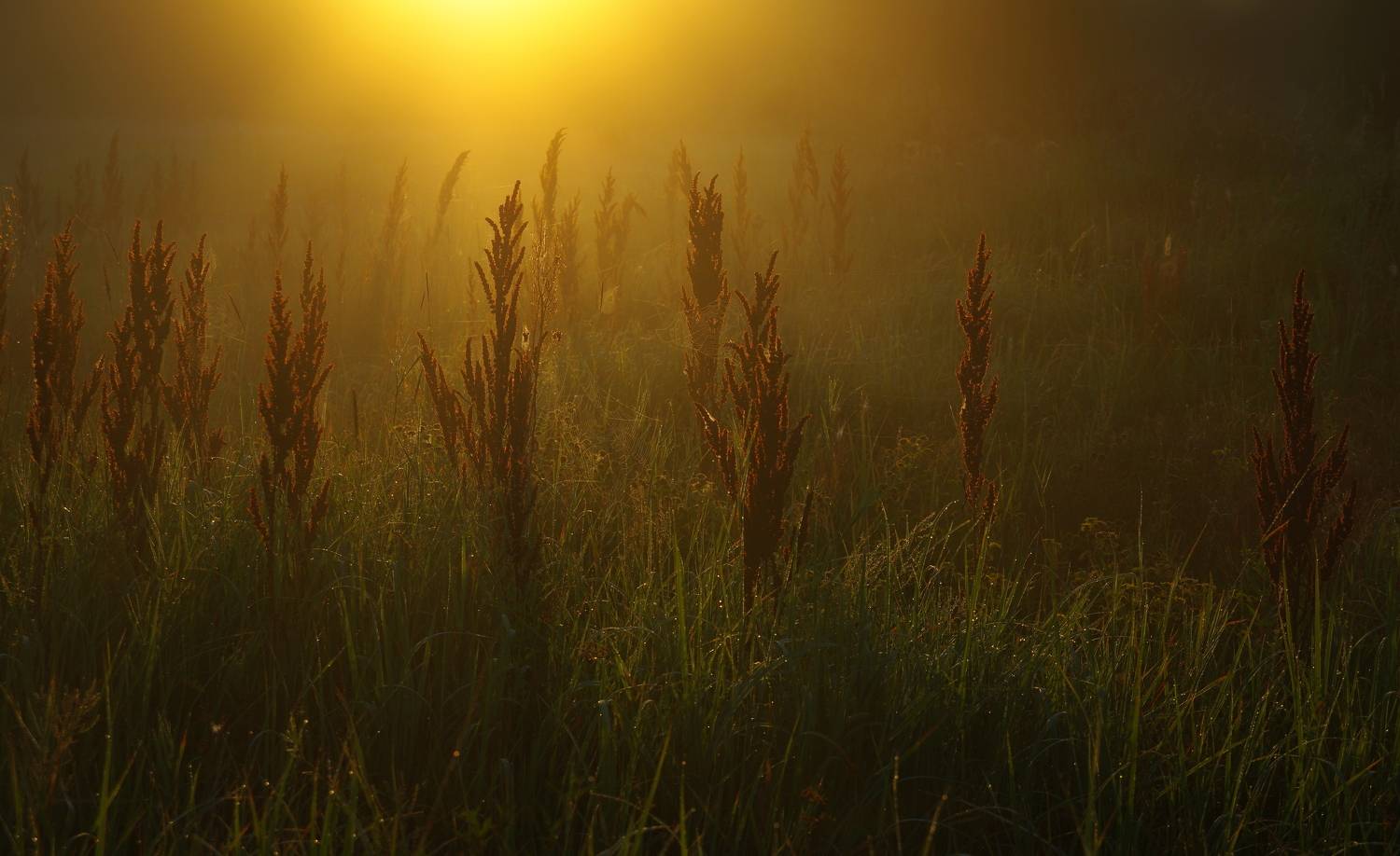 , Сергей Шляга
