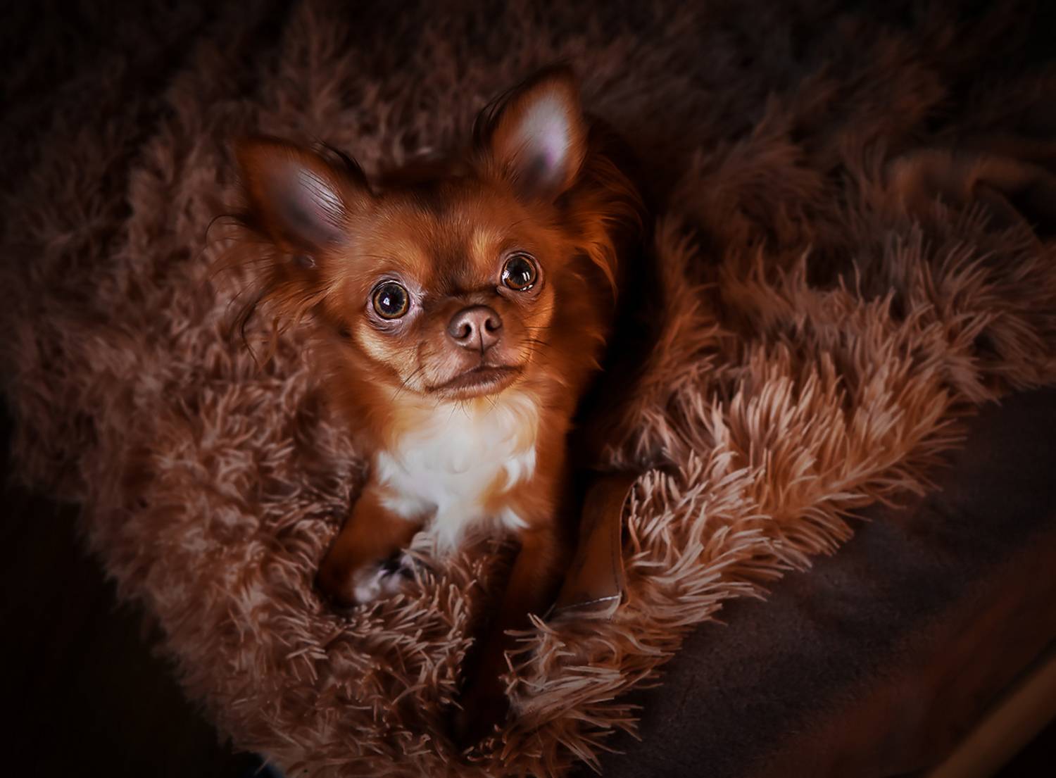 , Наталья Новикова