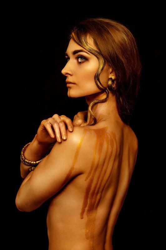 золотая краска, крыло, профиль  фото превью