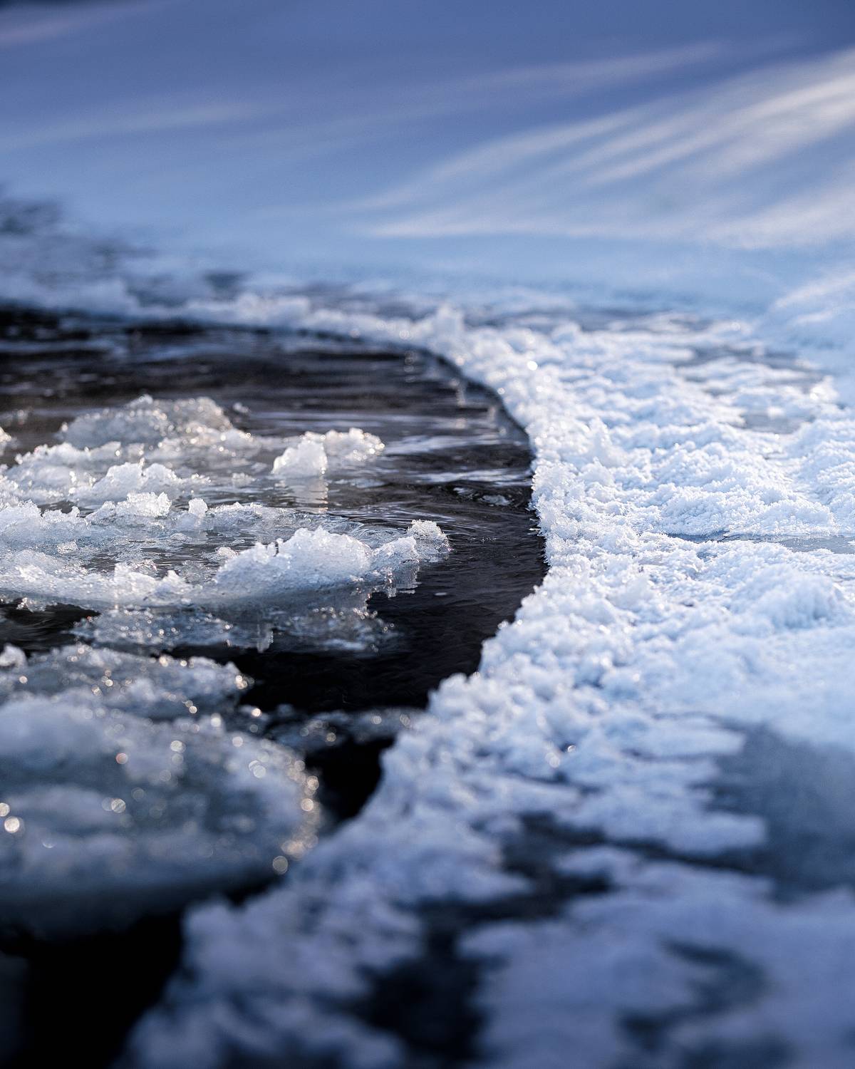 , Загруев Михаил