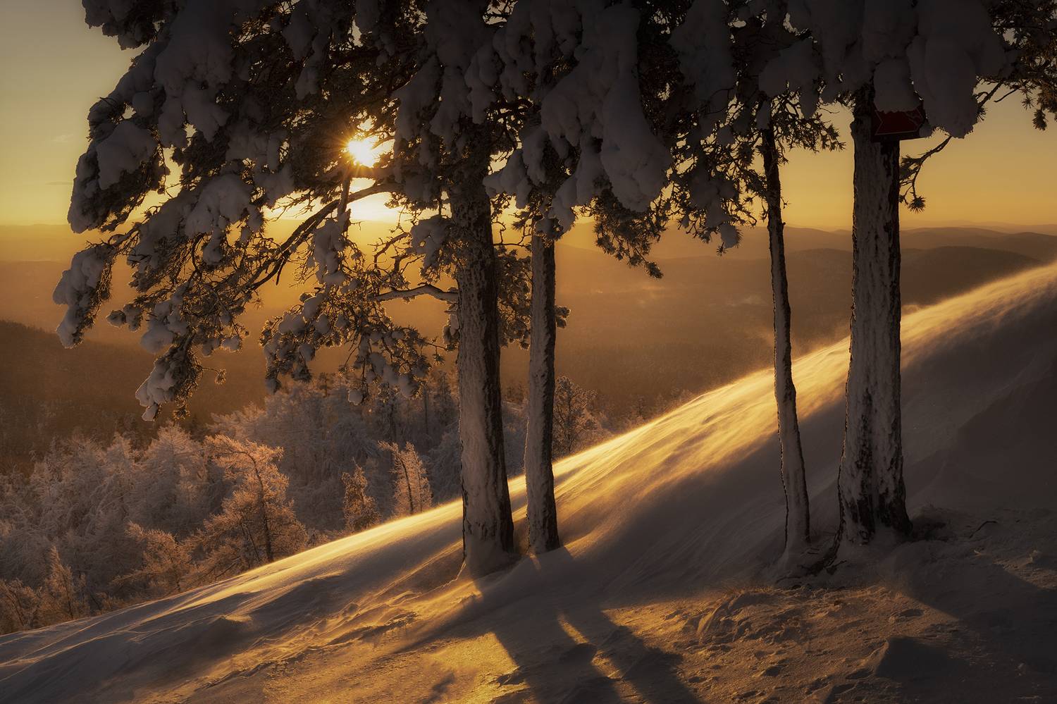 , Татьяна Бирюкова